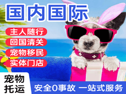 甘孜康定机场货运国际宠物托运 【国